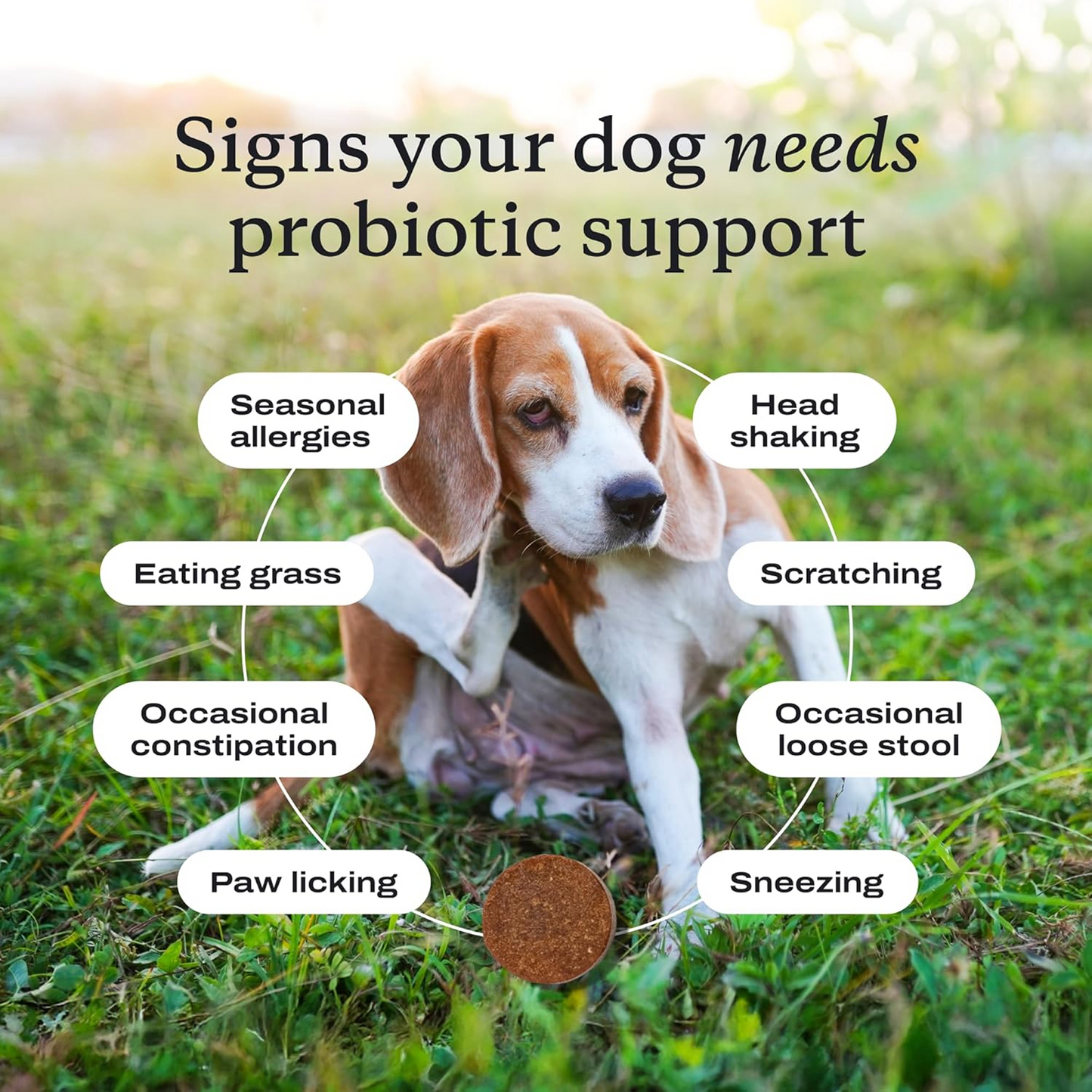 Probiotic Chews for Dogs