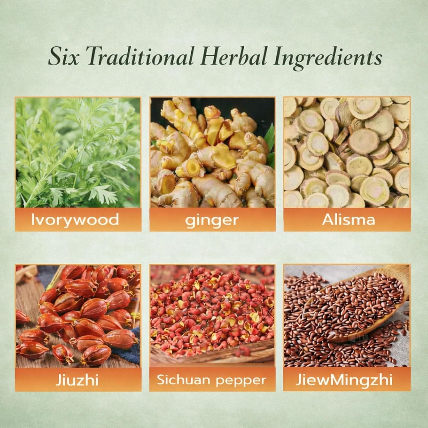 Thala Herbal Health Patch