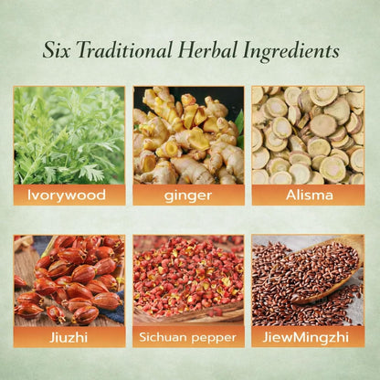 Thala Herbal Health Patch