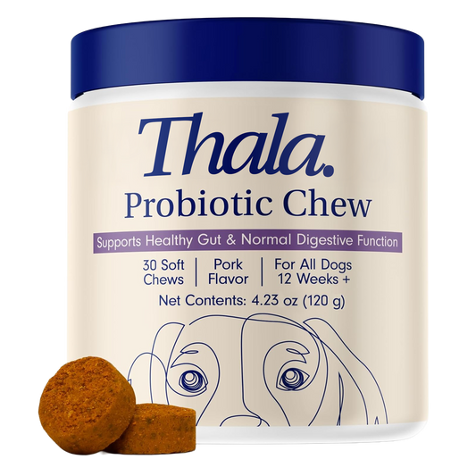 Probiotic Chews for Dogs